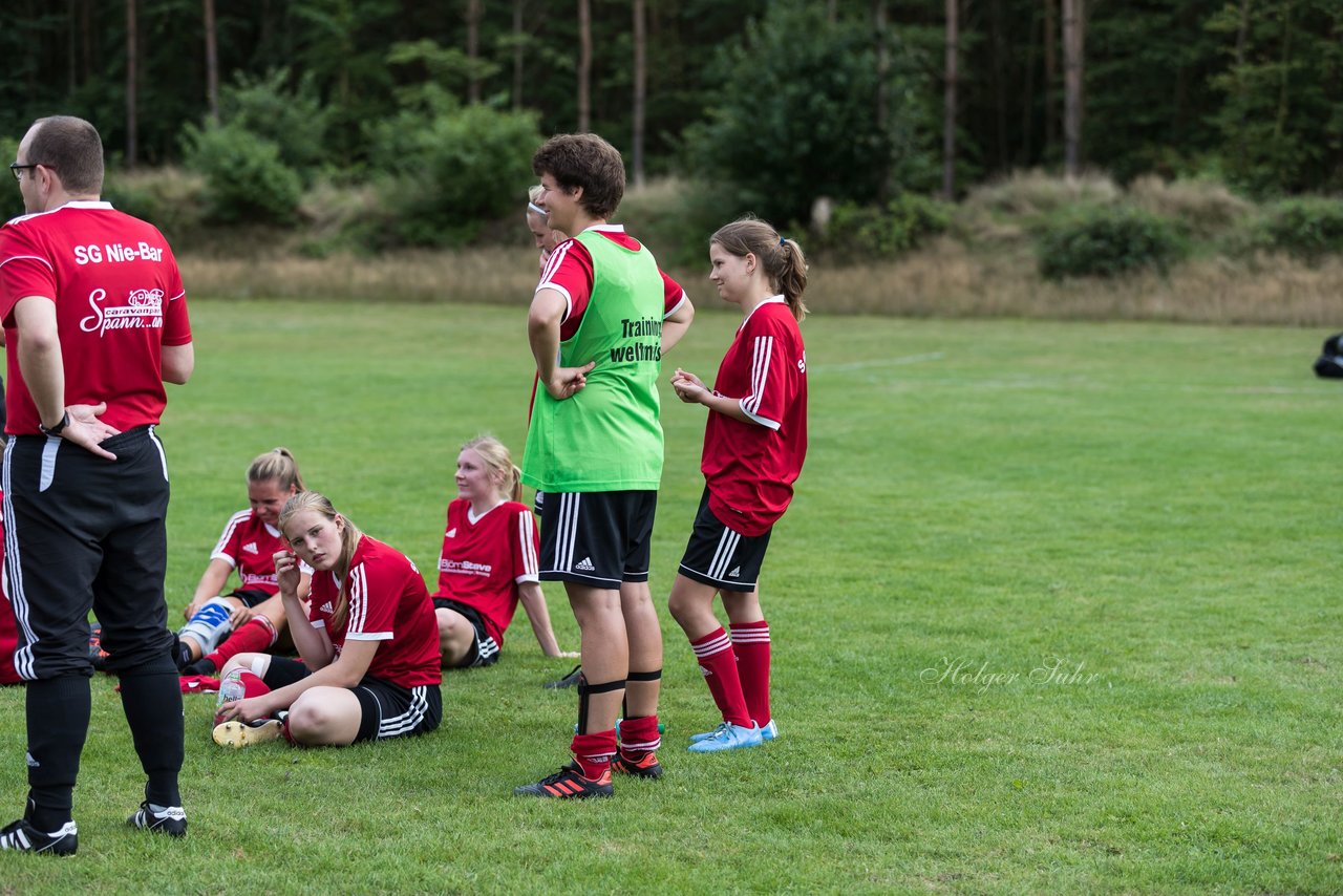 Bild 328 - Frauen SG NieBar - HSV 2 : Ergebnis: 4:3